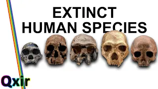 Homo Sapiens Were Not Alone