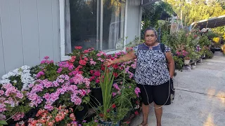 tour por el jardín. de mi. mamá. del mes. de agosto 2023