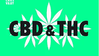 Was ist der Unterschied zwischen CBD und THC?