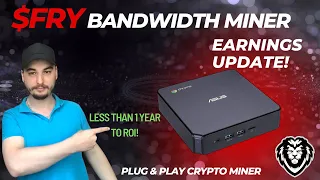 $FRY BANDWIDTH MINER REVIEW! - ROI Less Than 240 Days! Passive Income 2024!