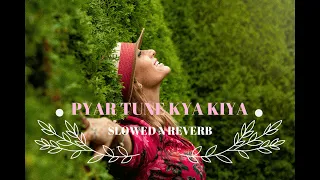 Pyaar Tune | Slowed Reverb | Pyaar Tune Kya Kiya