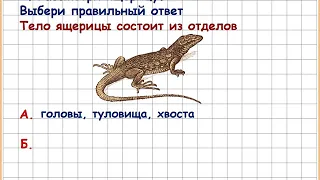 Биология. Проверочная работа "Пресмыкающиеся"