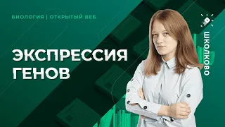 ЕГЭ БИОЛОГИЯ 2022. "О чем молчит школьный учебник". Что такое ТАТА-бокс, сплайсосомы и рибозимы?