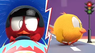 Where's Chicky? Funny Chicky 2023 | CRAZY DRIVER | Cartoon in English for Kids | New episodes