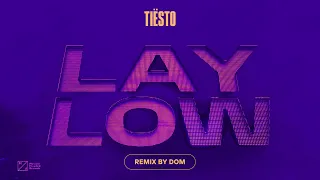 Lay Low -Tiesto (DOM Remix)