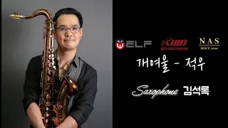 개여울 - 적우 ver. [saxophone cover.]