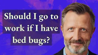Should I go to work if I have bed bugs?