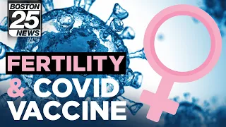 Has the COVID vaccine impacted your menstrual cycle? BU doctors are researching | Boston 25 News