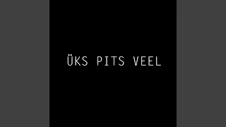 Üks Pits Veel (feat. Denu$ion)