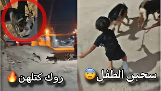 عطيت كلبي روك لطفل وسبب اكبر مشكلة - تعاركن - فزعة لوسي 🔥😨