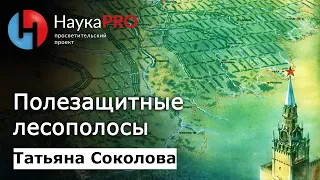 Полезащитные лесополосы: история, значение, современное состояние – Татьяна Соколова | Научпоп