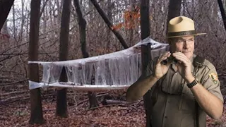 Scary Discoveries Made By Forest Rangers