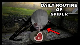 Daily Routine of Spider in Granny V1.8 New Update