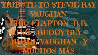 STEVIE RAY VAUGHAN TRIBUTE FULL DVD - CLAPTON - B.B.KING - JIMMIE VAUGHAN AND MORE