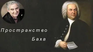 М.Казиник. Пространство Баха