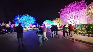 2023 Festival of Lights - Washington DC Temple