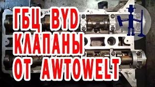 Cylinder head BYD and her jokes are shitty valves from Avtowelt