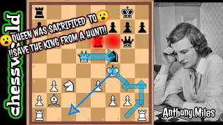 QUEEN SACRIFICE PREVENTS A KING CHASE!!!  MILES VS LJUBOJEVIC 1978|| BEAUTIFUL CHESS TACTICS