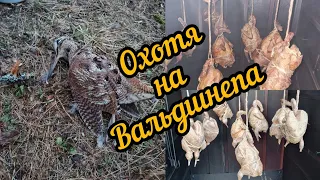 Охота на Вальдшнепа