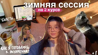 МОЯ ЗИМНЯЯ СЕССИЯ на 2 курсе журфака // как я готовлюсь к экзаменам? советы / study vlog