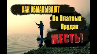 Как обманывают Рыбаков на платных прудах!Жесть!Я бы никогда не подумал - Рыбалка -платный пруд обман