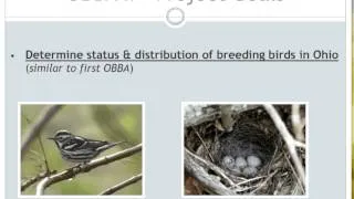 Beyond Occurrence:Monitoring Bird Populations with Atlas Data