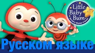 Божья коровка | детские песни | Литл Бэйби Бум