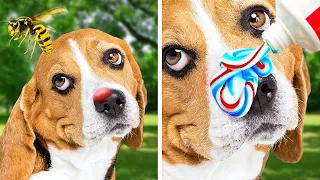 TRUCOS GENIALES PARA DUEÑOS DE MASCOTAS || IDEAS DE BRICOLAJE Y DISPOSITIVOS QUE DEBES VER