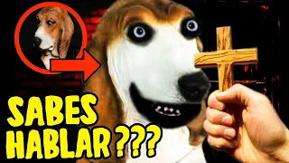 MI PERRA SABE HABLAR… NUNCA LE PREGUNTES! 😱 🐶 descubro oscuro secreto de SKINWALKER ¡CORRE, HUMANO!