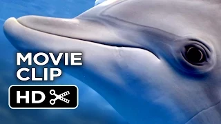 Dolphin Tale 2 Movie CLIP - What Are You Doing? (2014) - Morgan Freeman Dolphin Drama HD