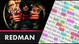 Redman - Dunfiato - Lyrics, Rhymes Highlighted (395)