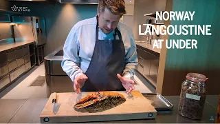 Amazing Norway LANGOUSTINE prepared 5,5 meters UNDER sealevel