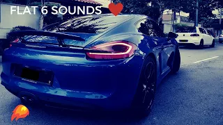 Porsche Cayman S PSE VS Non PSE Sound Comparison