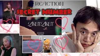 REACTION to MV SECRET NUMBER 시크릿 넘버 I I like it I like it (Japan debut)