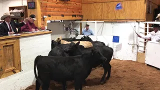 World Champion Livestock Auctioneer Jared Miller October 1, 2018