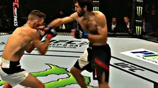 Zabit MagomedSharipov highlights | Best of Zabit