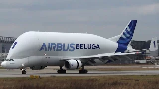 ✈ Super Transporter Airbus A300-600 Beluga Landing and Takeoff at Airbus Plant Hamburg