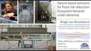 W3seminar: Nature-Based Solutions For Flood Risk Reduction: Ecosystem behavior under extremes
