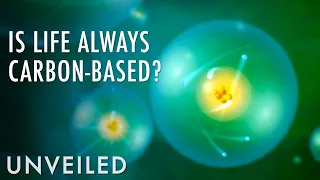 The Case For Non-Carbon Life | Could Aliens Exist? | Unveiled