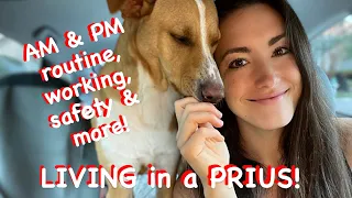 Stealth Camping at a Rest Stop:  AM&PM routine, safety, work and more - living in a Prius!