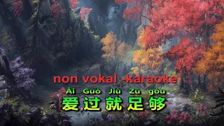 ai guo jiu zu guo 爱过就足够 - Liu Jia Liang 刘嘉亮 - non vokal - karaoke