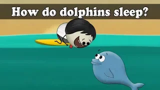 How do dolphins sleep? | #aumsum #kids #science #education #children