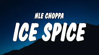NLE Choppa - Ice Spice (Lyrics)