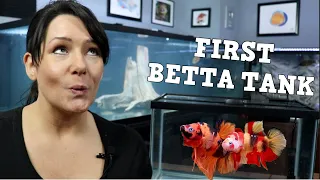 Watch This Before Buying Your First Betta Tank!