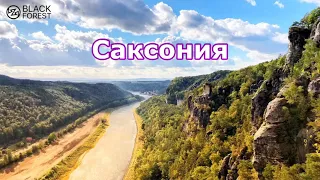 Саксония