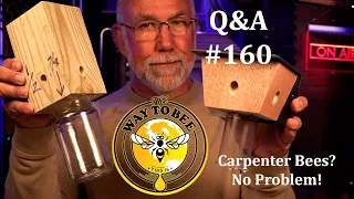 Backyard Beekeeping Questions and Answers Episode 160 Carpenter Bees Eating Into Bee hives and more!