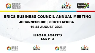 BRICS Business Council Meetings - Day 3 - Johannesburg, August 2023