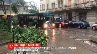 Наслідки негоди: у Львові дівчину вбило дерево, а на Волині зривало дахи