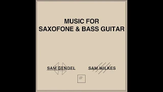 Sam Gendel and Sam Wilkes - Music for Saxofone and Bass Guitar [Full Album]