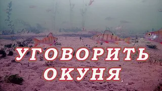 Больше лунок значит БОЛЬШЕ ОКУНЯ! Атака окуня Под водой. Смена приманки может уменьшить улов!